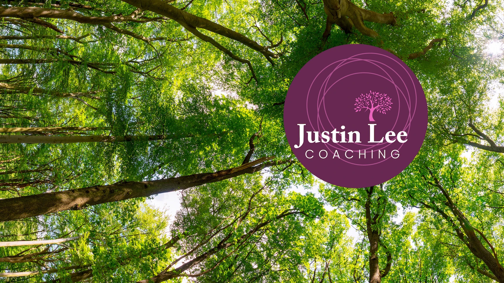 r584-jlc-background-2-17527374186587.png